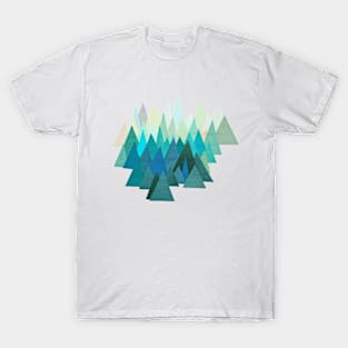 Cold Mountain T-Shirt